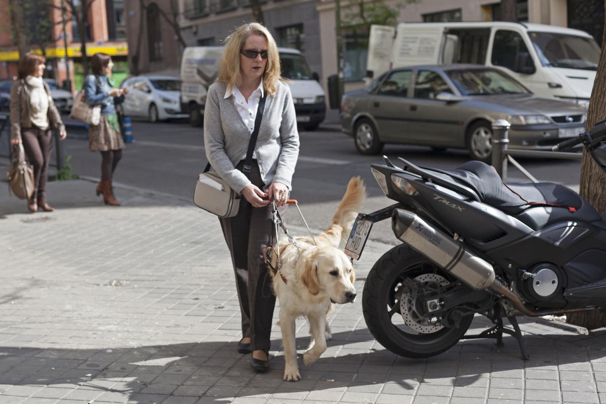 En la foto puede verse a una usuaria de perro guía caminando por las calles de una ciudad