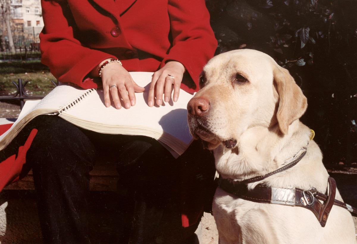 En la fotografía aparece una mujer sentada en un banco de un parque  leyendo un libro en braille con sus manos y acompañada de su fiel perro guía allado