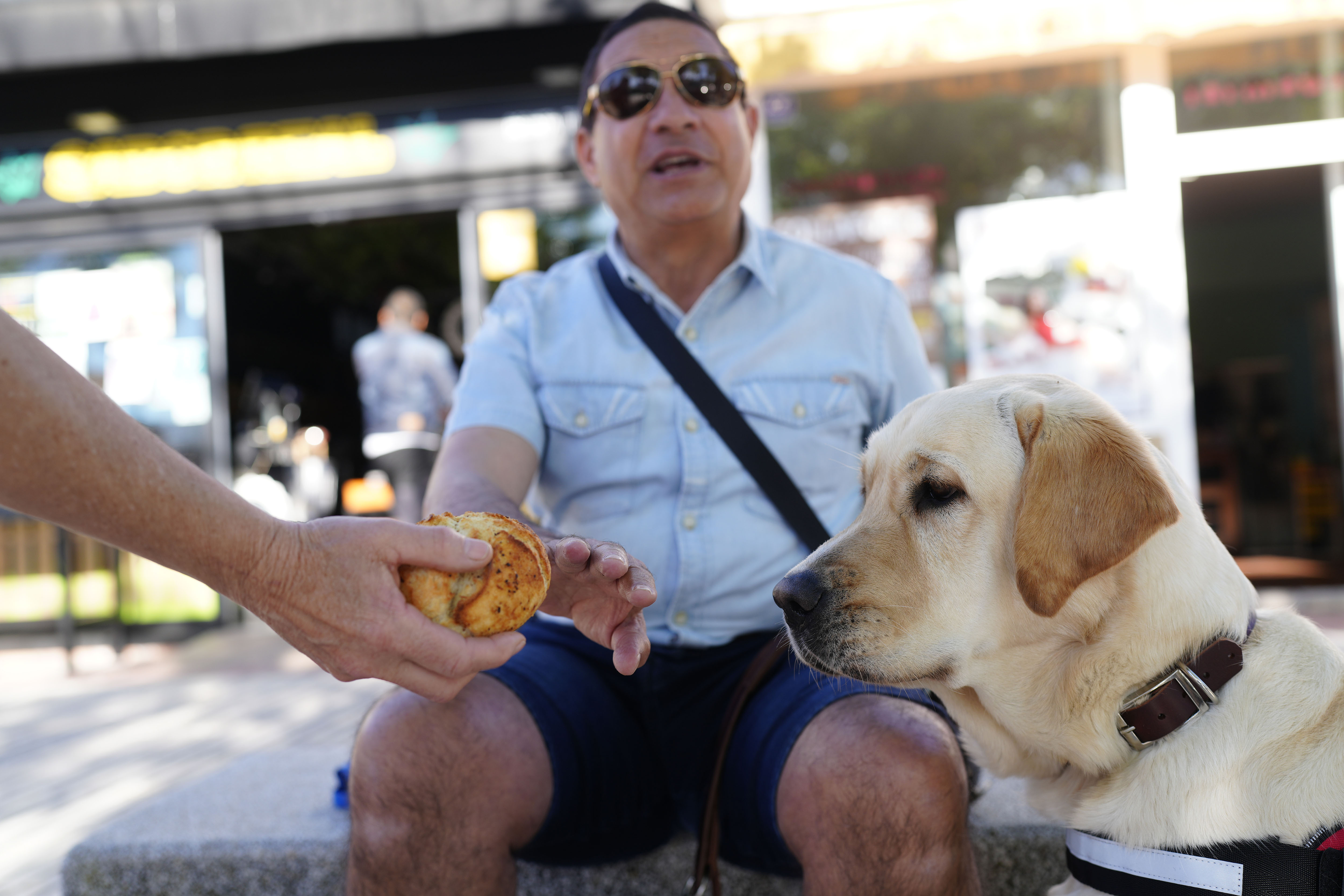 Una persona ciega rechaza el alimento que le ofrecen a su perro guía