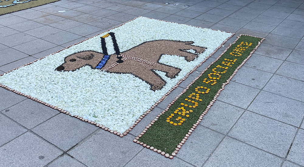Una alfombra de flores, elaborada por personas afiliadas, con la imagen de un perro guía