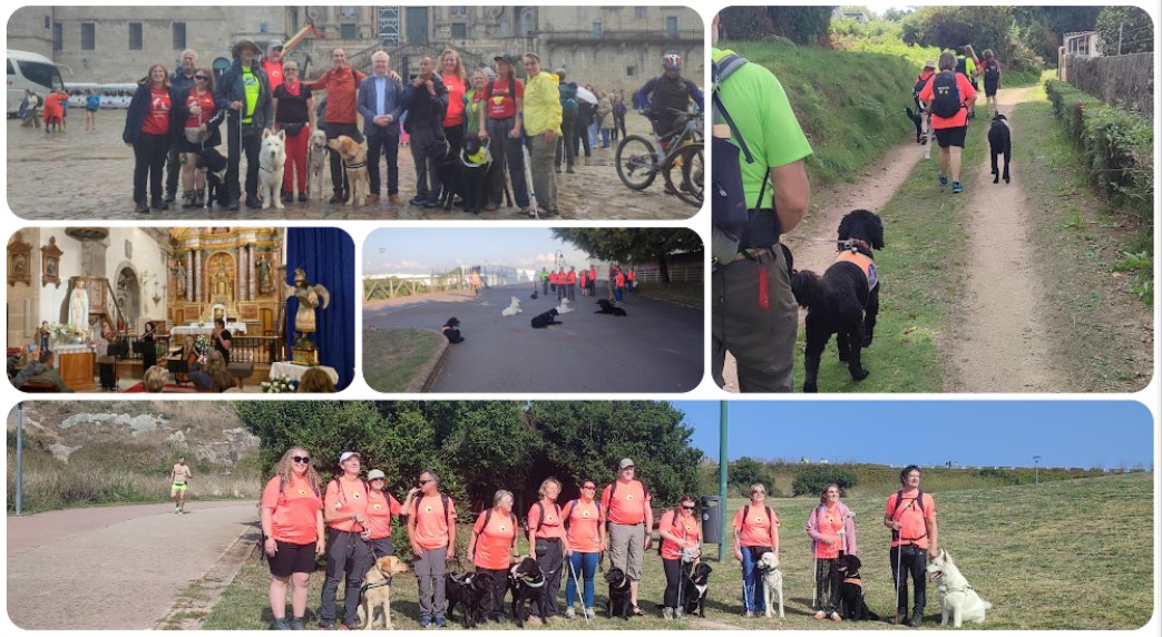 Collage de diversos momentos del camino y la llegada a Santiago de Compostela