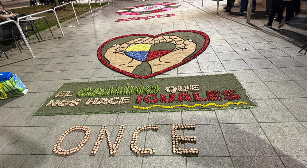 Imagen de la alfombra