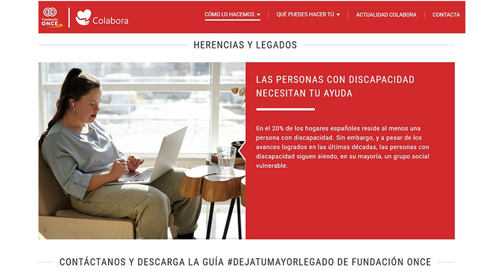 Pantallazo de la web