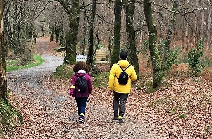 Fotografía tomada durante el recorrido de prueba de la accesibilidad del Camino