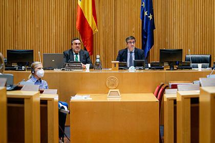 Otra imagen de Miguel Carballeda durante su intervención en la Comisión de Reconstrucción del Congreso de los Diputados