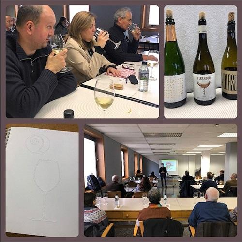 Collage de imágenes de varios momentos de la cata de vinos