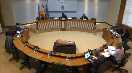 Comisión no permanente para el seguimiento de las políticas relativas a la discapacidad
