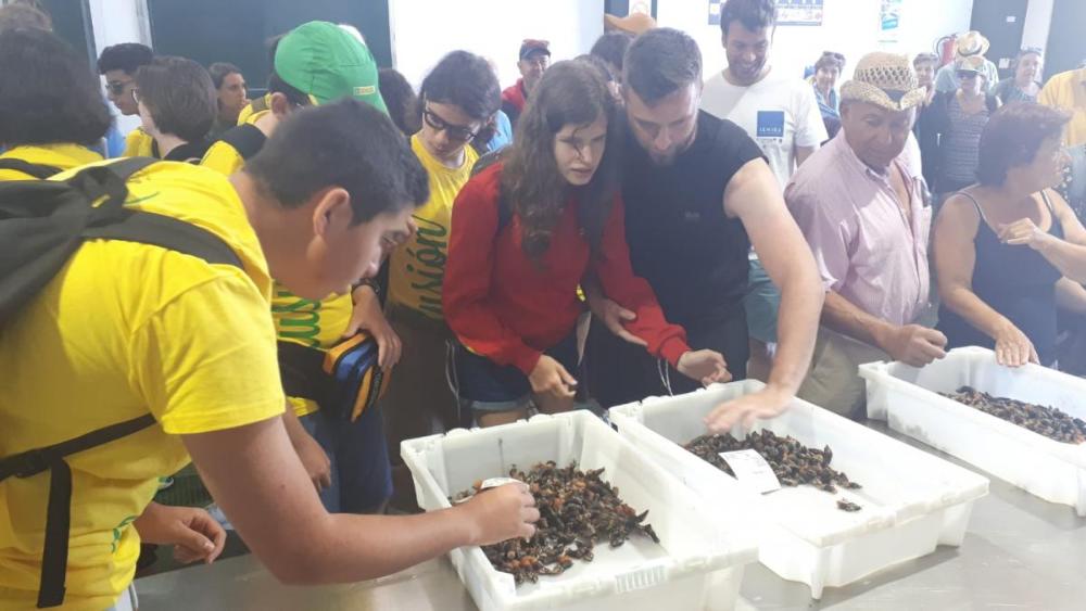 Na Lonxa, coñecendo os percebes