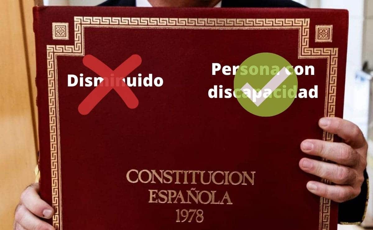 disminuido-persona-con-discapacidad-constitucion.jpg
