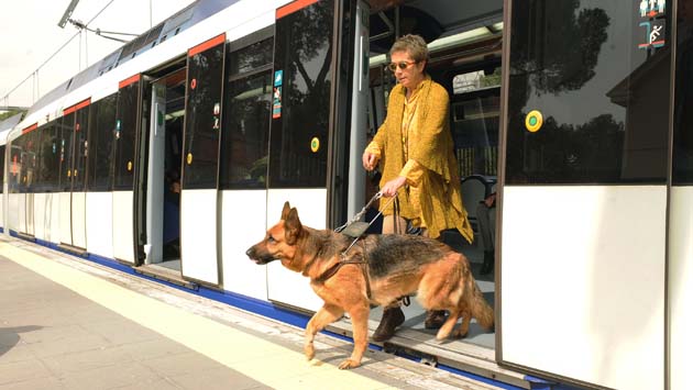 perro_guia_en_el_metro.jpg