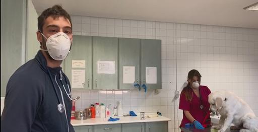 Vista de las instalaciones de veterinaria con cachorros de la FOPG durante el confinamiento