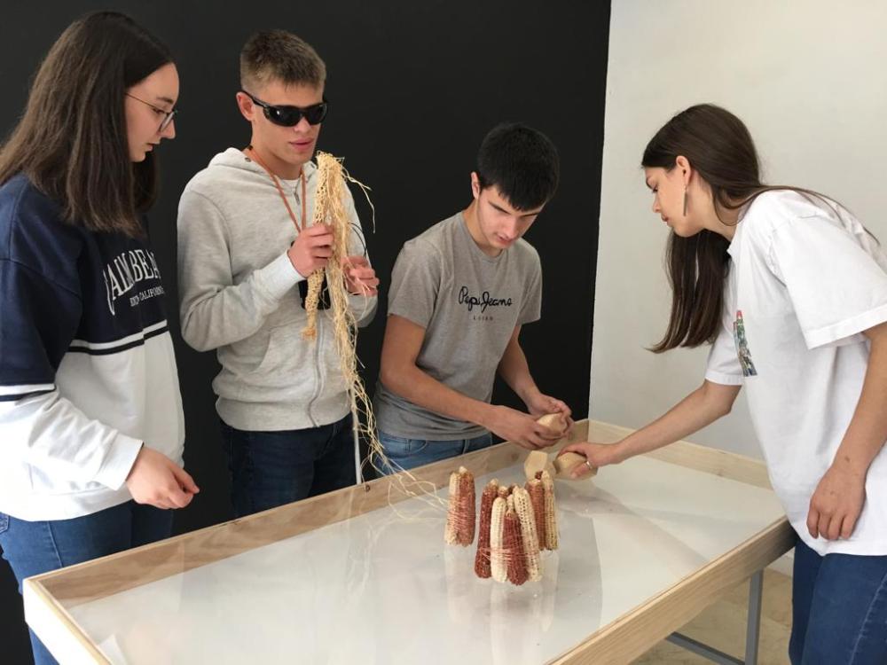 En la fotografía aparecen un grupo de chicos y chicas tocando obras de la exposición Proxecto Táctil