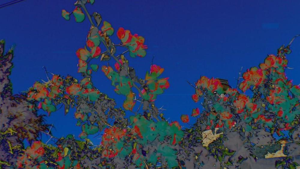 Obra Estado de Malestar