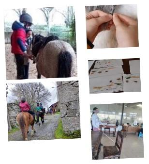 collage con las actividades realizadas durante la XI Escuela Deportiva