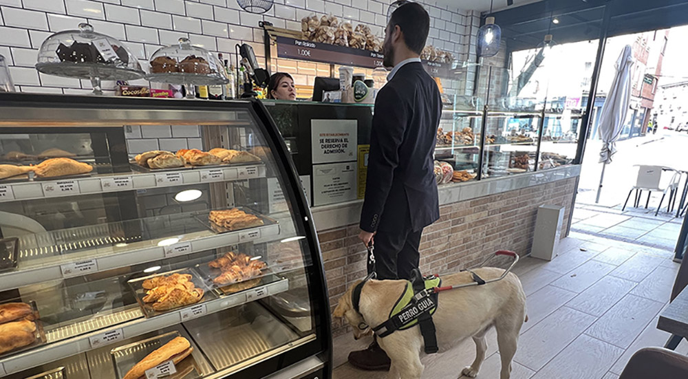 Perro guía y su usuario en una cafetería