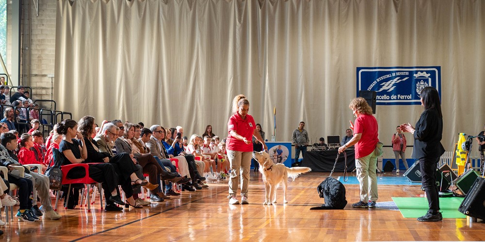Un momento de la exhibición de los perros guía de la ONCE en Ferrol.j